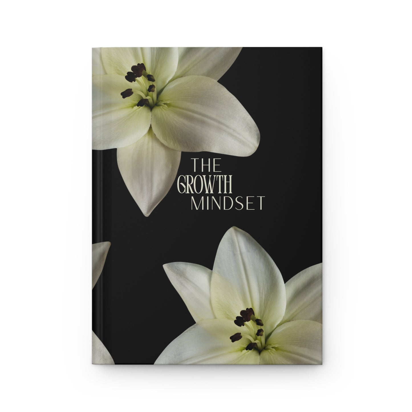 The Growth Mindset Journal