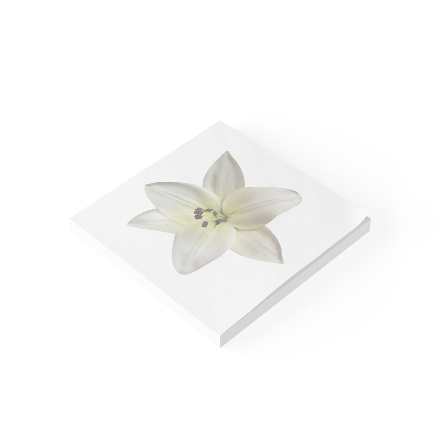 Lily Anne Post-it® Note Pads