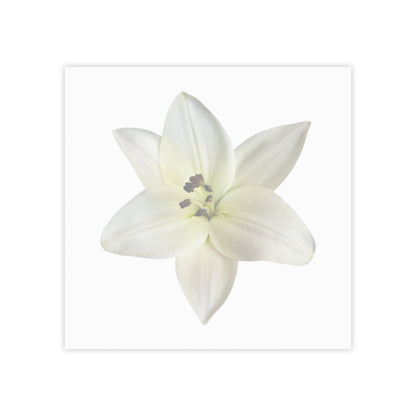 Lily Anne Post-it® Note Pads